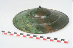 Foto von Bronzephalere (NHMW-PRAE-003458)